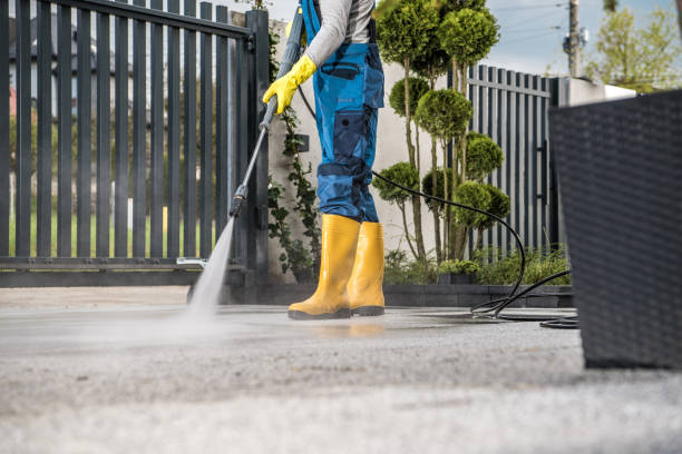 Best Building Exterior Washing  in East Dubuque, IL
